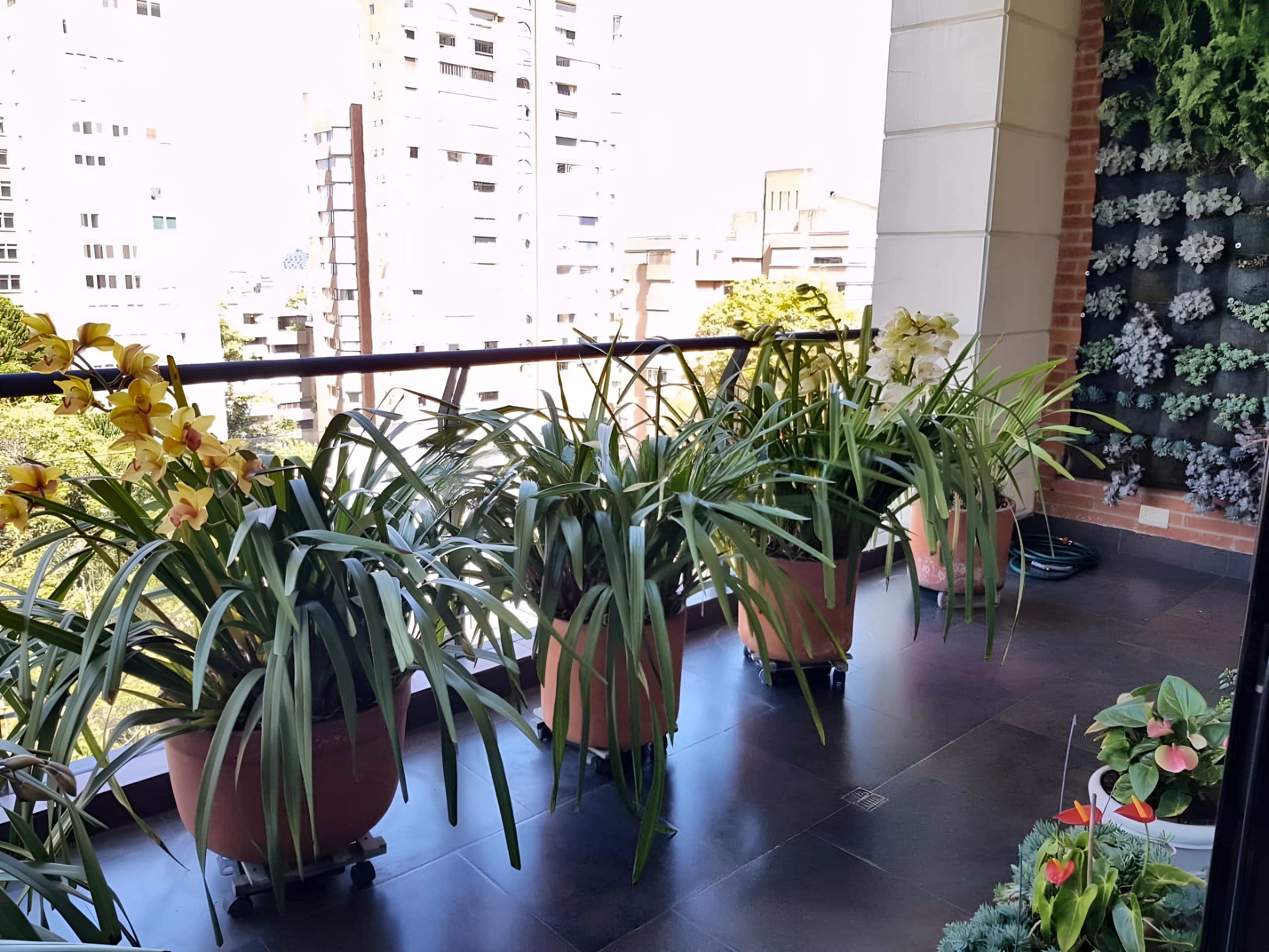 Apartamento en Cabrera, foto 3 de 20